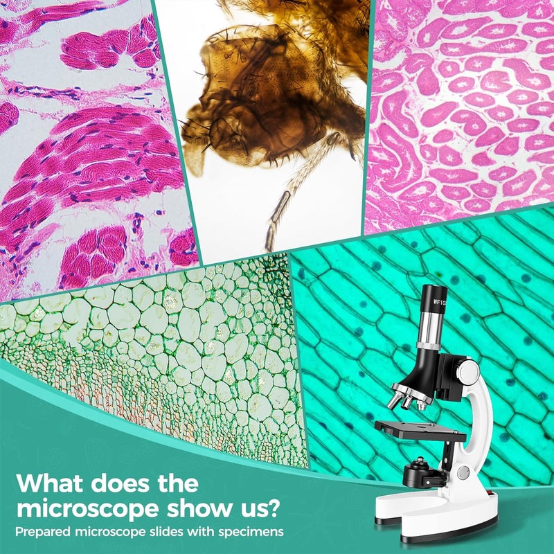 USCAMEL Kids Microscope Science Kit - 1200X Microscope for Kids 8-12 with Prepared Slides Metal Body LED Light Carrying Box Educational Compound Toy Set for Children Ages 5 Year Old Boys & Girls Gift - Image 4
